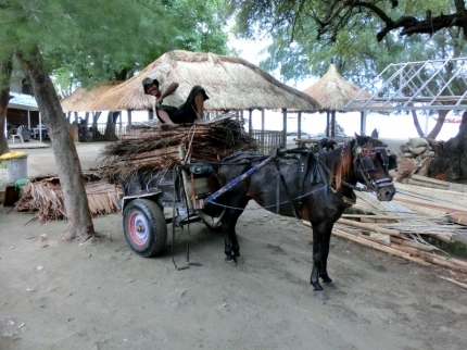 gilit (04)